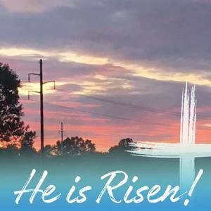 Meet your Posher, Tandi